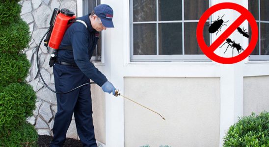 Balışeyh Karınca İlaçlama böcek ilaçlama ve haşere kontrolü — ilaclama-tr.com